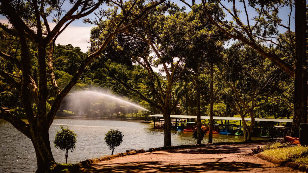 Parque Malwee - Jaraguá do Sul  – Foto: Divulgação Facebook Parque Malwee